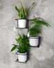 Jungle Wall Flower Stand for 3 Pots, Metal Plant Holder, Green Wall, Flower Hanger