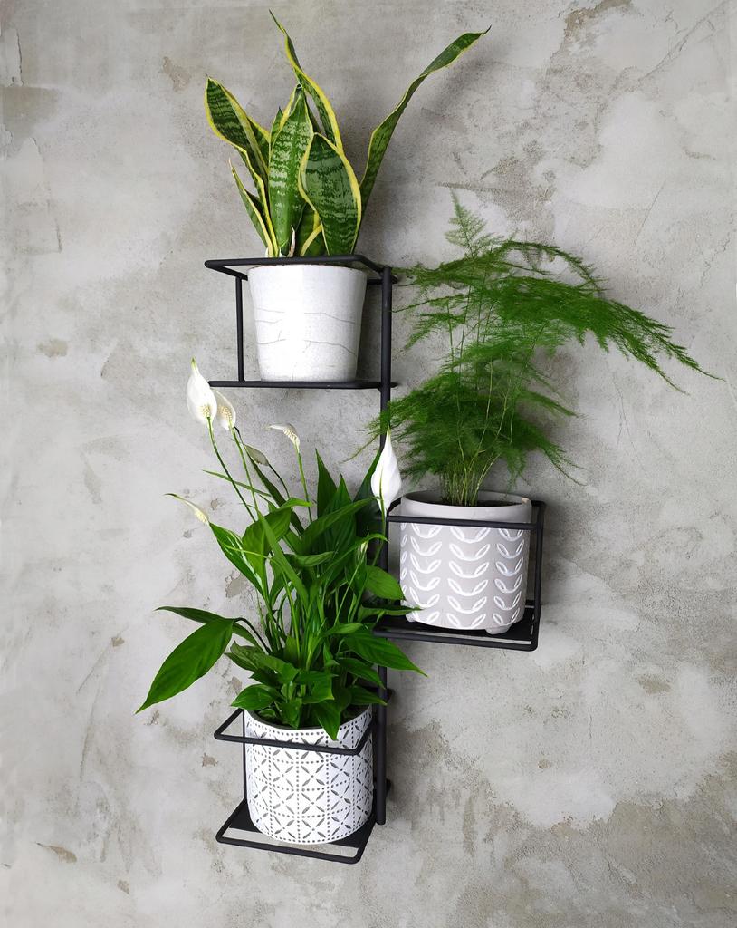 Jungle Wall Flower Stand for 3 Pots, Metal Plant Holder, Green Wall, Flower Hanger