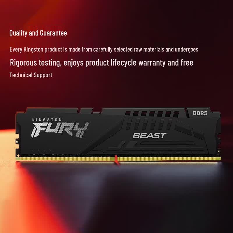 Kingston FURY Beast DDR5 6000 Desktop Memory