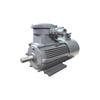 YBBP Series Explosion-Proof Variable Frequency Three-Phase Asynchronous Motor