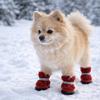 4 Pcs/set Warm Dog Cotton Shoes Anti-Scratch Winter Dog Boots Puppy Booties Puppy Footwear Walking