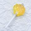Two-Color Resin Glitter Star & Seashell Lollipop Earrings/Pendant DIY Accessories