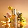Vegan Tangerine Perfume 30ml Citrus Fresh Scent Seasonal Special Edition