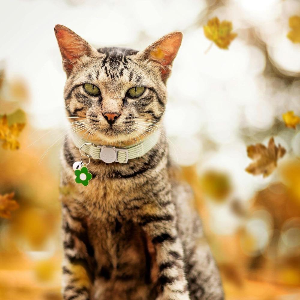 Lovely Corduroy Cat Dog Collar with Bell Flower Adjustable Breakaway Safety Buckle Pet Necklace for Small Medium Dogs Kittens