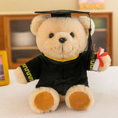 Doktor Bär Puppe Bachelor Bär Plüschtier Studenten Abschluss Bär Puppe Stoffpuppe Name Schulemblem