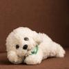 Large Poodle Dog Plush Soft and Perfect for or As a and Perfect for Cushion, Realistic, Naptime, Children's Day, Shichi-Go-San, Gift. Cute, Sewn,