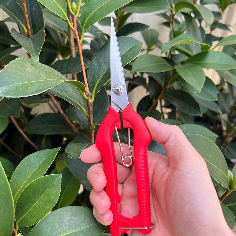 Pruning Shear Branch Scissors Stainless Steel Non-Slip Handle Sharp Garden Fruit Tree Pruning Very Sharp Garden Tools