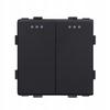 Light Switch 2P Mechanical Insert Black RTX SH
