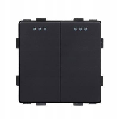 Light Switch 2P Mechanical Insert Black RTX SH