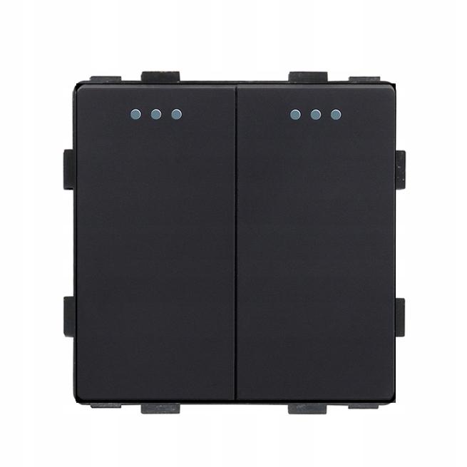 Light Switch 2P Mechanical Insert Black RTX SH