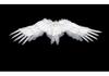 Angel Wings White Feather Swallow Shaped Wings Adult And Children'S Performance Halloween Props Bride Flower Child Dressing