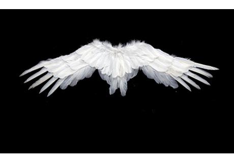 Angel Wings White Feather Swallow Shaped Wings Adult And Children'S Performance Halloween Props Bride Flower Child Dressing