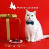 2023 New Christmas Bow Tie Pet Collar Red And Green Plaid Adjustable Choking Hazard-free Cat And Dog Accessories