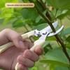 Garden Pruning Shears for Flowers, Trees, and Grafting - Spare Spring, Labor-saving Design, Cuts Thick Branches, Ideal for Fruits and Vegetables.