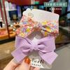 Headwear Hair Clip Set Women Hair Accessories Bow Knot Hair Clip for Children's Princess Baby Cute Super Immortal Fabric Floral