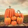 7pcs Artificial Pumpkins Assorted Fake Simulation Pumpkin for Halloween Thanksgiving Party Home Decoration