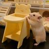 Hamster Dining Chair, 3D Printed Mini Pet Seat, Cute Furniture for Sugar Glider, Rat Cage Decor Accessory