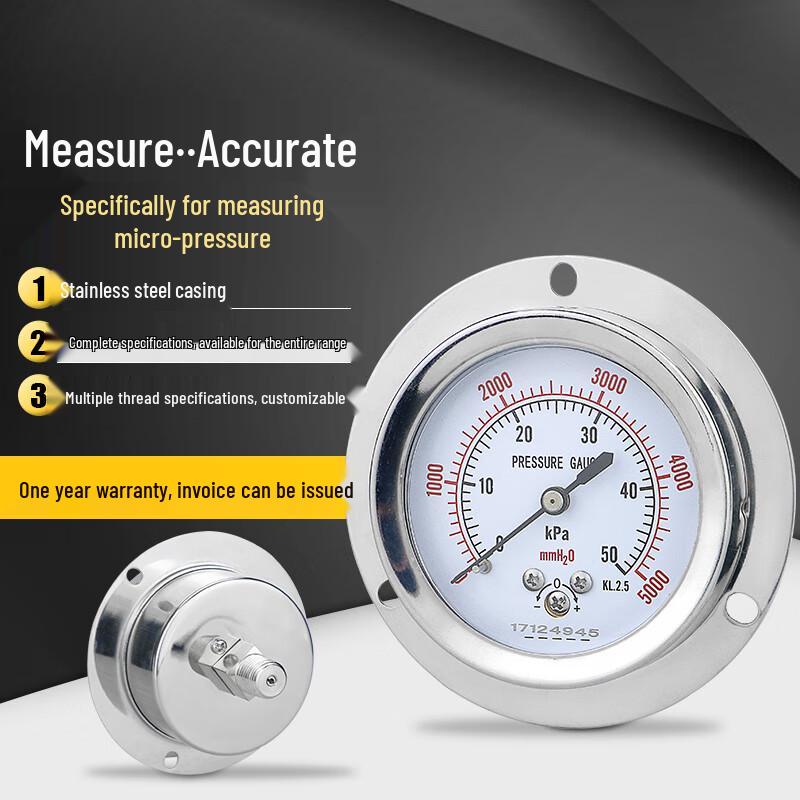 Huishida YE60ZT Stainless Steel Diaphragm Micro Pressure Gauge
