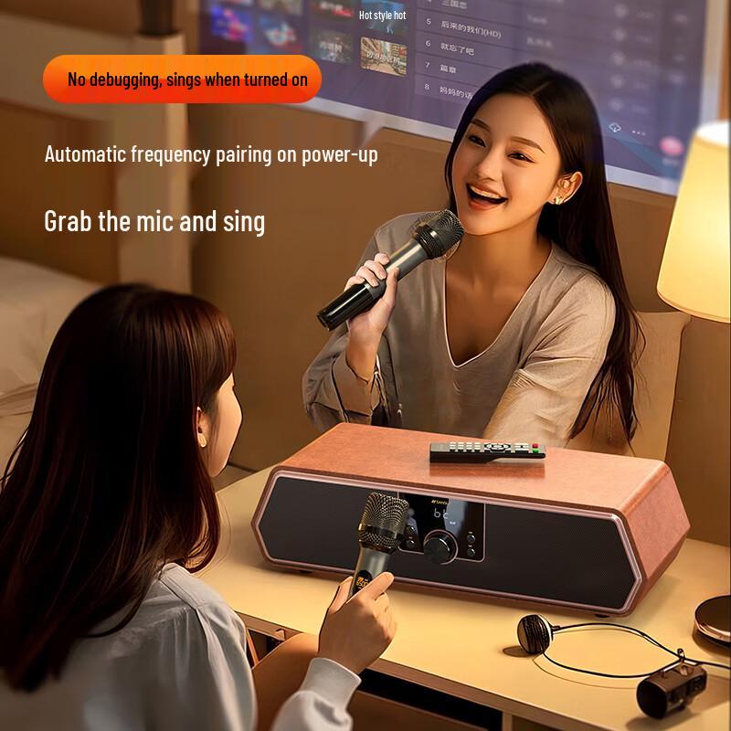 SANSUI Desktop Home KTV Karaoke Audio System