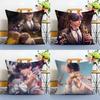 Game Rafael Love Deepspace-Cool Pillow Case Anti-Dustmite Pillowcase Invisible Zipper Silky Short Plush Sofa Cushion Cover