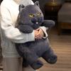 New 1pc 58cm Huggable Fat Cat Plush Stuffed Animals Toy Lifelike Black Cat Toy For Boys And Girls Children Xmas Birthday Gift