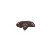 Picks Tortoise 351 Heavy Shell, Shape, (12)