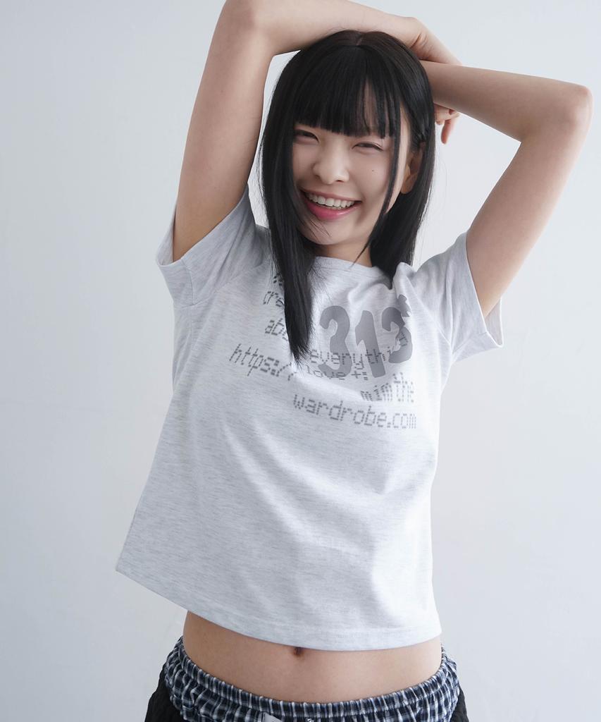Mimdeowodeulobeu 313 Printed Crop T-Shirt_Gray