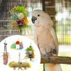 Foraging Toys For Birds 4 Pieces Parakeet Foraging Toy Parrot Supplies Colorful Chew Play Set For Cage Climbing Perches Hangers