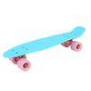 Complete Fish Skateboards for Beginners Kick Skate Board for Boys Girls Kids