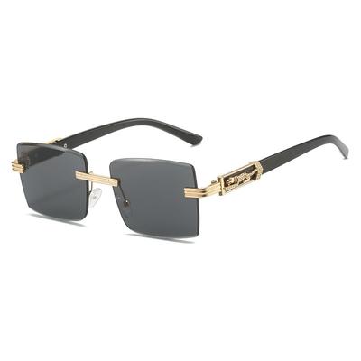 Brillen en accessoires – Zonnebrillen