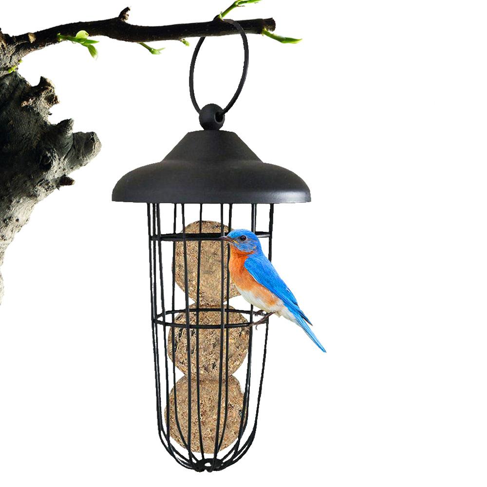 bird feeder supplies