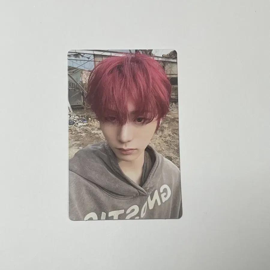 

No-genre Taesan Photo Card Poca Bonecd Boynextdoor