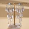 European and American tassel long pearl earrings light luxury high-end stud earrings temperament cold wind trend retro earrings