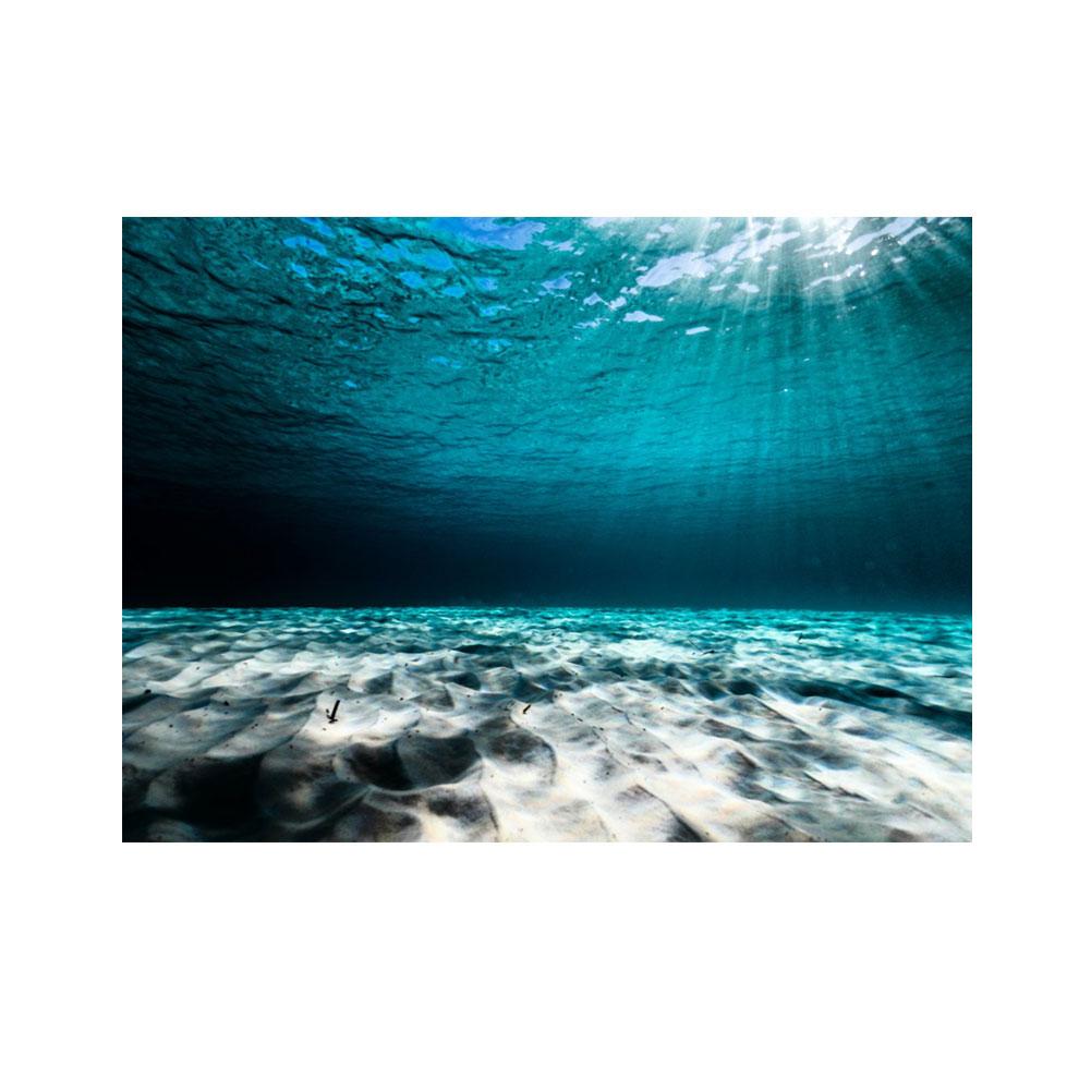 Aquarium Background Sticker Fish Tank Backdrop Forest/Moss/Ocean World DIY Cutting Available Background Self Cling Aquarium Wallpaper Decorations