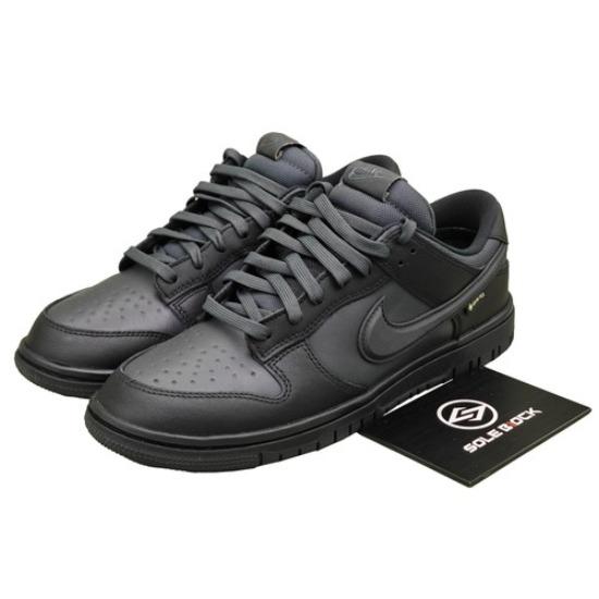 Nike Dunk Low GORE-TEX Black/Anthracite HQ2053-001 Men's Size