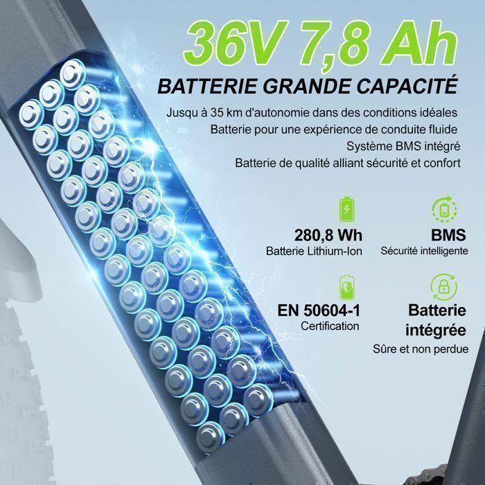 Vélo Électrique Tout Terrain 26×1.95", E-Bike L26 - Moteur 250W - Batterie 36V - Autonomie 70 km (Mode ASSIST) -Shimano 7 vitesses
