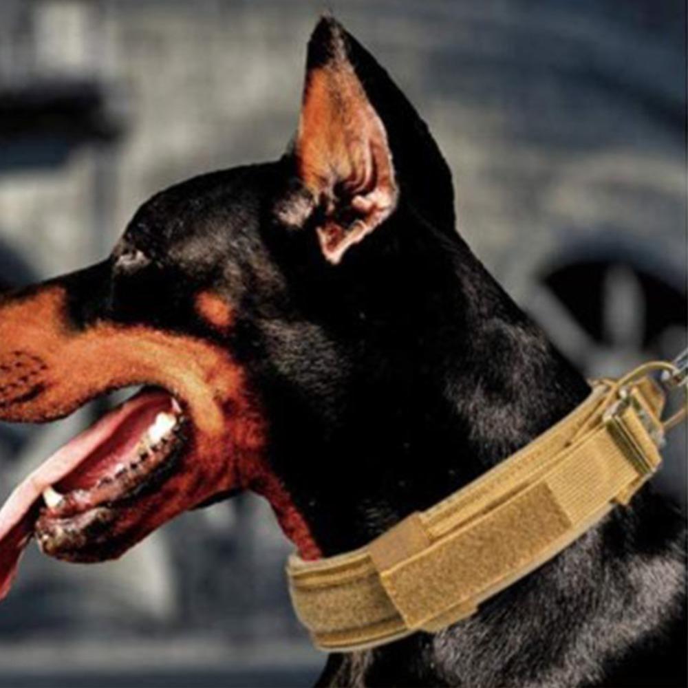 Breiter Halsring Großer Hundehalsriemen Verstellbarer Riemen Trainingshalsband für Hunde Tägliches Gassi gehen