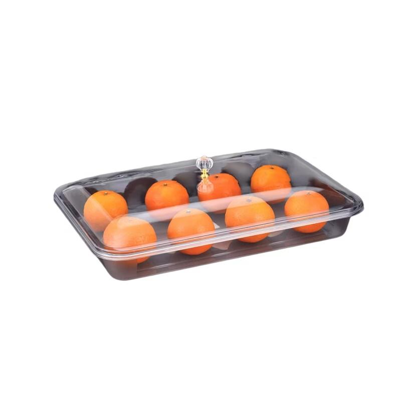 Qianxing Commercial Acrylic Serving Tray with Arched Lid