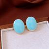 Ellipse Design Resin Stud Earrings Matte Metal Oval Earrings Party Jewelry  Women Jewelry