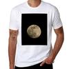 Full Moon At Night Tshirt Minimalist Casual Short Sleeve Top