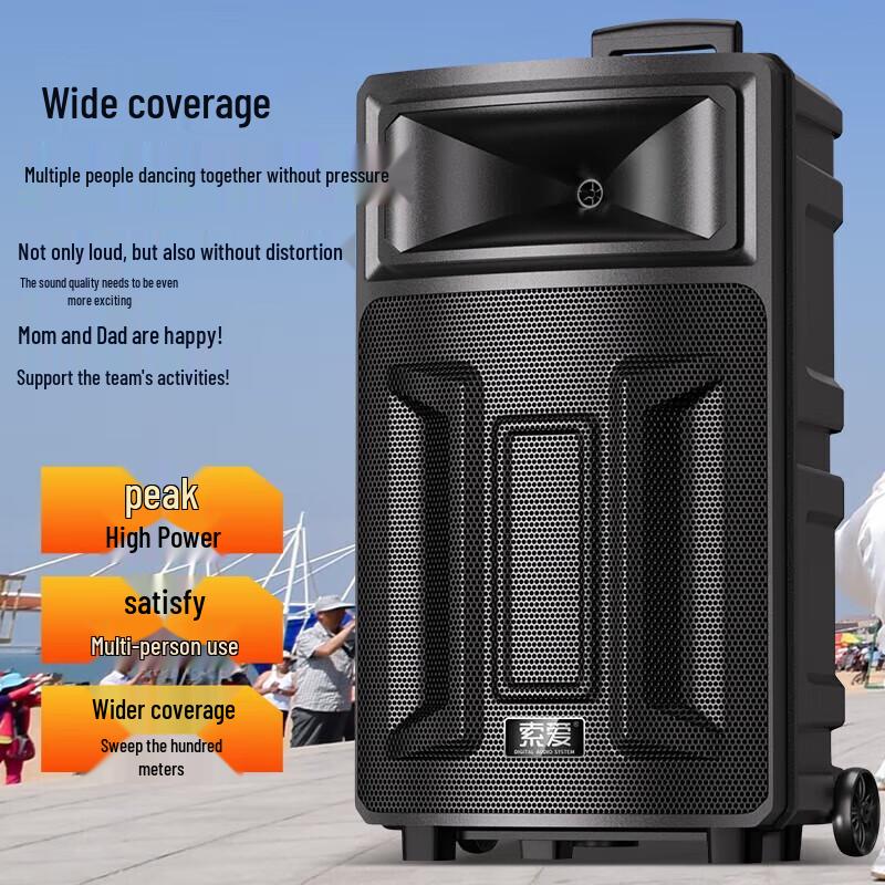 Suoai Portable High-Power Karaoke Speaker with Dual Microphones CN Plug (adapter Included)