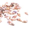 100PCS Přírodní lastury Akvarijní dekorace party festival Home Decor Přírodní mořské lastury Plážové lastury Lastury pro kutily