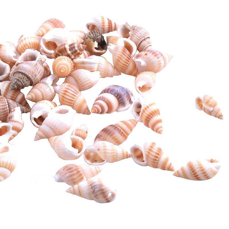 100PCS Přírodní lastury Akvarijní dekorace party festival Home Decor Přírodní mořské lastury Plážové lastury Lastury pro kutily