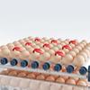 Automatic Egg Incubator Hatcher Machine Turner Chick