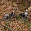Sculpture Garden Figurines, Ornaments, Fountain Decorations