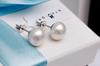 Silver Earrings with Pearls 8mm - Ksn0304