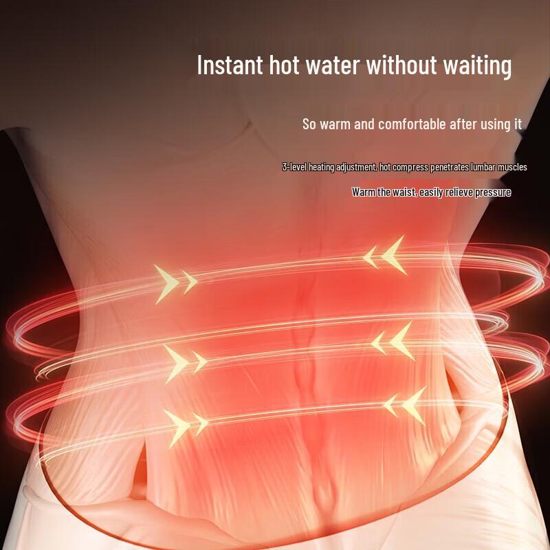 Chigo Smart Heated Waist Massager