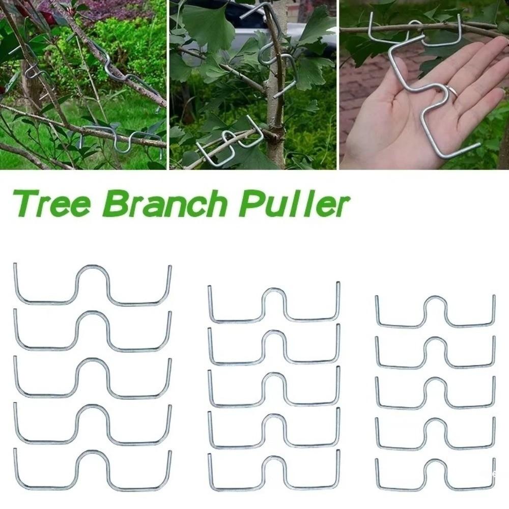 10Pcs Shape Fixator Branch Shaping Device Metal Branch Bending Tools Fruit Tree Training