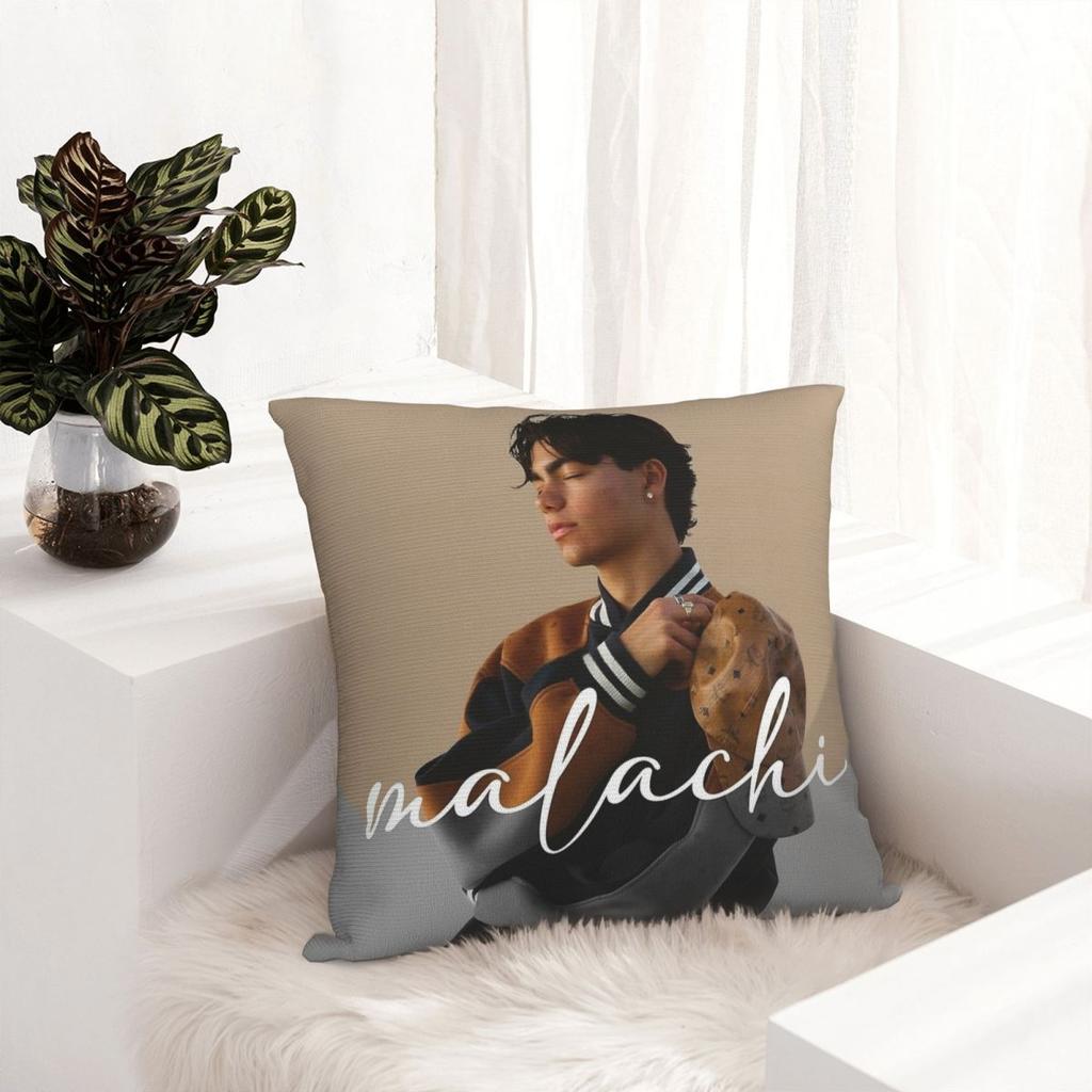 Malachi Barton Kissenbezug Druck Polyester Kissenbezug Dekorationen Sofakissenbezug Zuhause Drop Shipping 18''