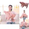 Lovely Beach Pig Shaped Plush Toy With Cotton Filling In Four Sizes For Gift And Collectibles